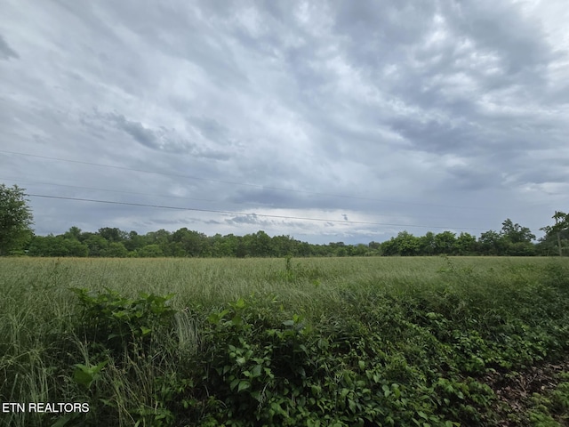 288 Andy Ln, Winfield, TN 37892 - view of local wilderness