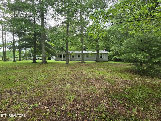 288 Andy Ln, Winfield, TN 37892 - view of green lawn