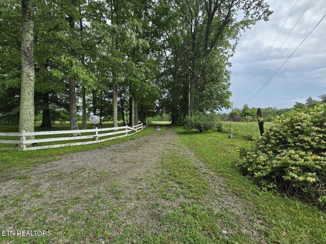 288 Andy Ln, Winfield, TN 37892 - view of yard