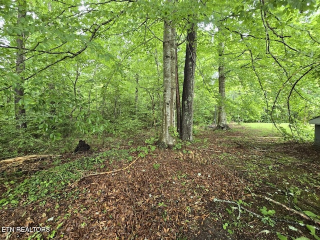 288 Andy Ln, Winfield, TN 37892 - view of tree filled area