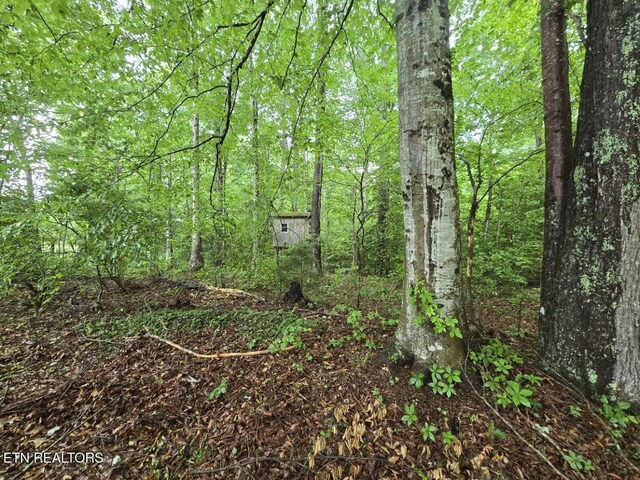 288 Andy Ln, Winfield, TN 37892 - view of tree filled area