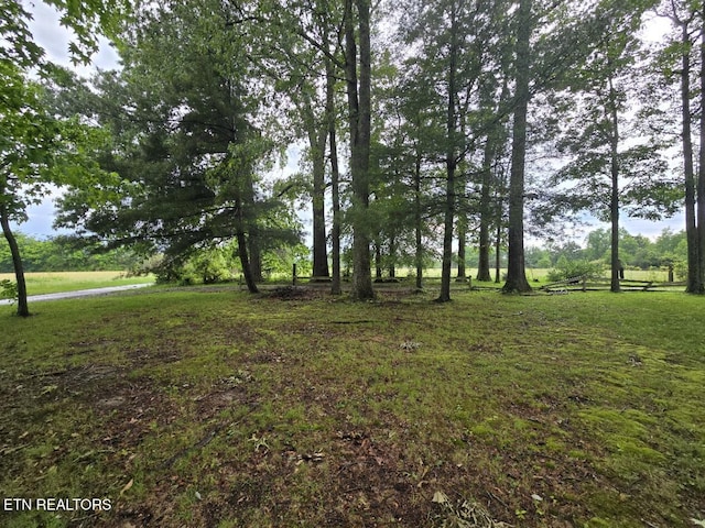 288 Andy Ln, Winfield, TN 37892 - view of yard