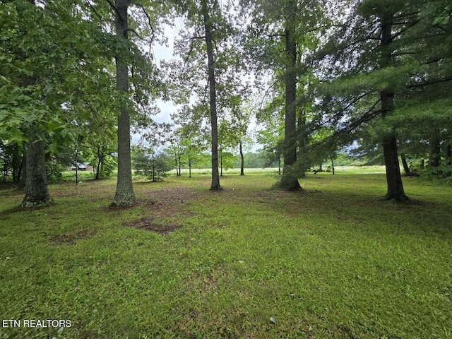 288 Andy Ln, Winfield, TN 37892 - view of grassy yard