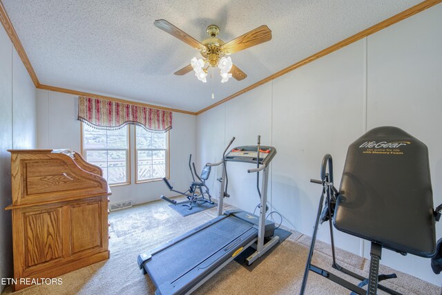 310 Abbott Rd, Lenoir City, TN 37771 - workout room with crown molding, ceiling fan, carpet, a textured ceiling, and lofted ceiling