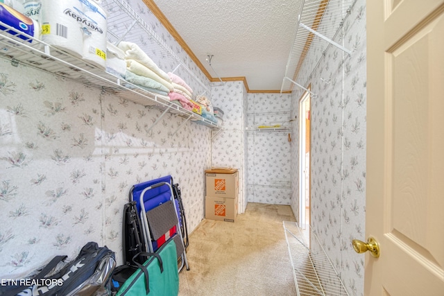 310 Abbott Rd, Lenoir City, TN 37771 - view of storage