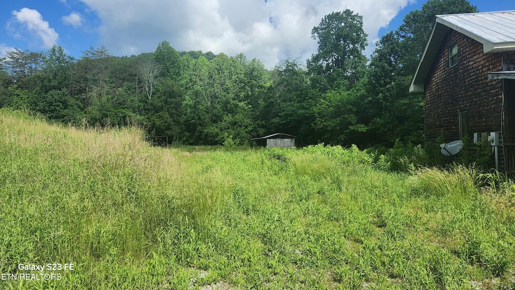 1935 Fairview Rd, Tellico Plains, TN 37385 - view of yard featuring a forest view