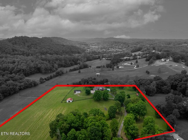 640 Old Poplar Springs Rd, Kingston, TN 37763 - photo 38
