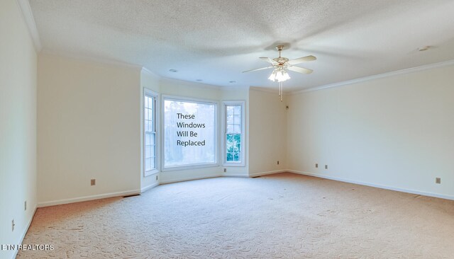 640 Old Poplar Springs Rd, Kingston, TN 37763 - photo 17