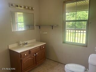 154 Spruce Pine Rd, Mooresburg, TN 37811 - bathroom featuring plenty of natural light, toilet, and vanity