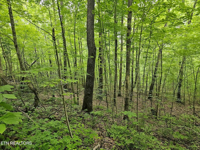 William Newport Rd, Huntsville, TN 37756