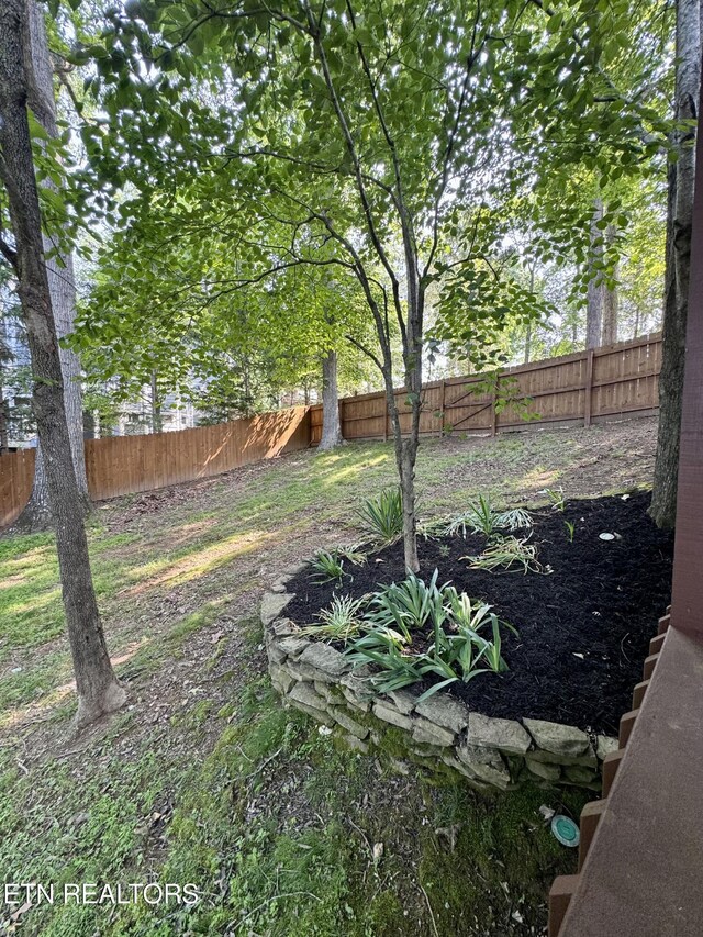 1186 Deerfield Way, Lafollette, TN 37766 - view of fenced backyard