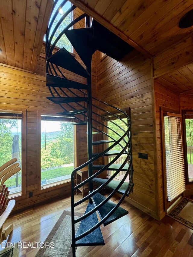 1186 Deerfield Way, Lafollette, TN 37766 - stairway featuring wood walls, wooden ceiling, lofted ceiling, wood-type flooring, and plenty of natural light