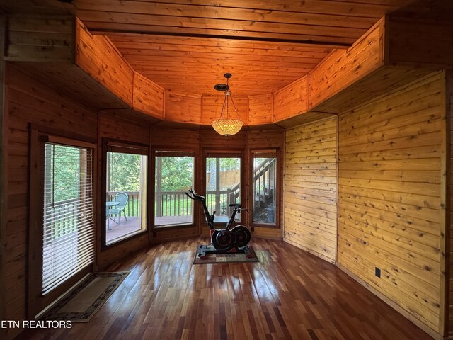 1186 Deerfield Way, Lafollette, TN 37766 - workout area with plenty of natural light, wood ceiling, wooden walls, and dark wood-type flooring