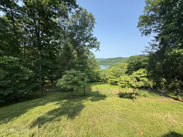 1186 Deerfield Way, Lafollette, TN 37766 - view of yard with a water view and a view of trees