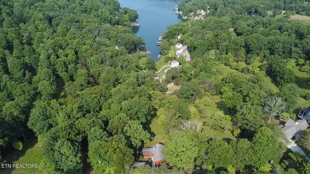 1186 Deerfield Way, Lafollette, TN 37766 - aerial overview of property's location with a nearby body of water and a forest