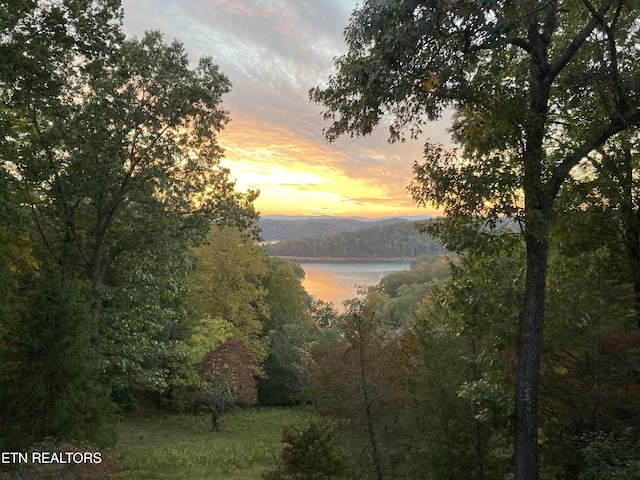 1186 Deerfield Way, Lafollette, TN 37766 - water view with a forest