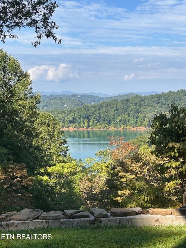 1186 Deerfield Way, Lafollette, TN 37766 - water view featuring a heavily wooded area