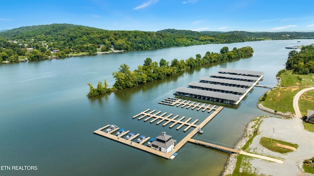 763 Eagle Point Dr, Loudon, TN 37774