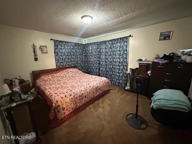 179 Granby Ln, Harrogate, TN 37752 - bedroom with carpet and a textured ceiling