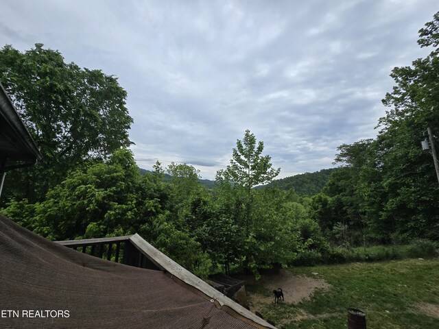 291 Tall Oaks Dr, Pennington Gap, VA 24277 - mountain view with a forest