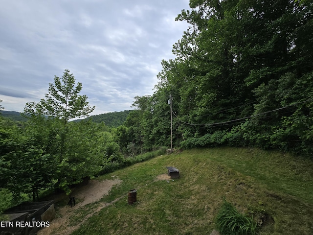 291 Tall Oaks Dr, Pennington Gap, VA 24277 - view of yard featuring a view of trees
