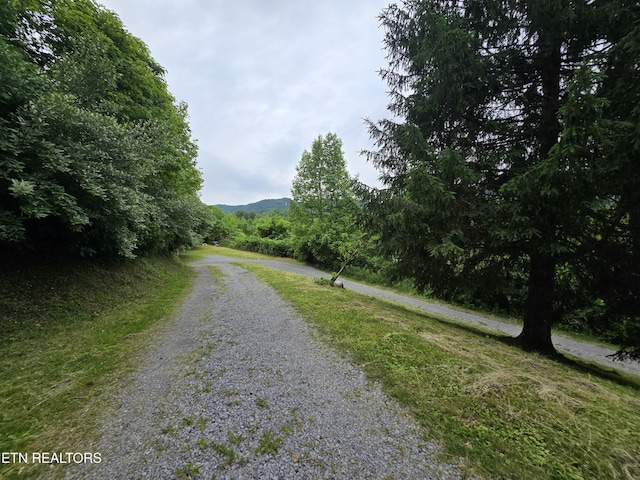 291 Tall Oaks Dr, Pennington Gap, VA 24277 - view of dirt / gravel road