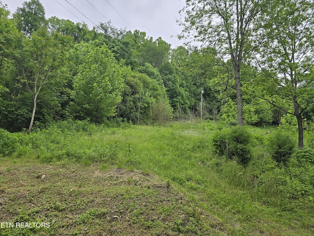 291 Tall Oaks Dr, Pennington Gap, VA 24277 - view of tree filled area