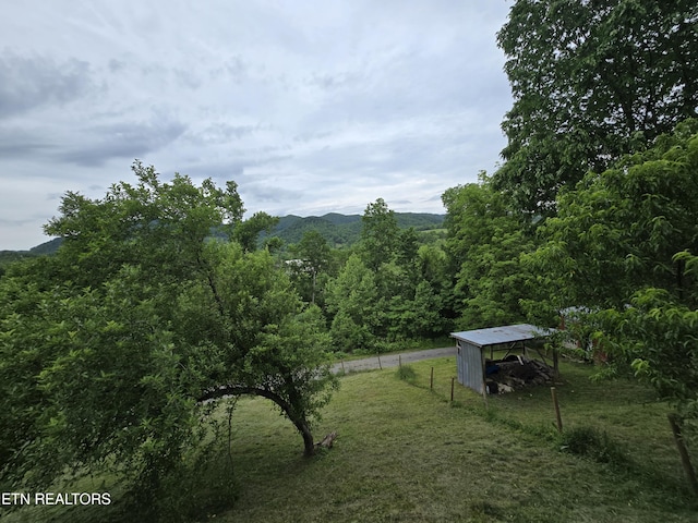 291 Tall Oaks Dr, Pennington Gap, VA 24277 - mountain view