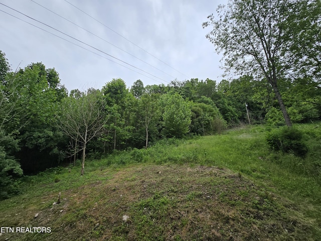 291 Tall Oaks Dr, Pennington Gap, VA 24277 - view of woods