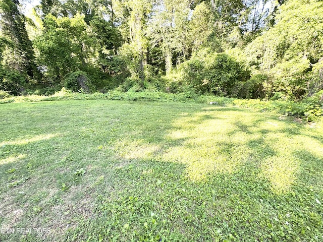 108 E Hunter Cir, Oak Ridge, TN 37830 - view of green lawn