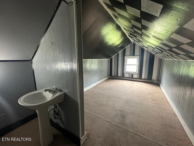 156 Beatty Rd, Rose Hill, VA 24281 - additional living space with carpet flooring and vaulted ceiling