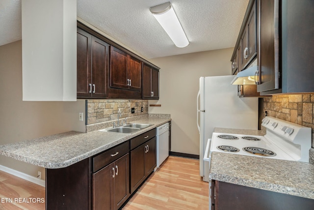 1051 Nod St, Knoxville, TN 37932 - kitchen featuring white appliances, a sink, under cabinet range hood, dark brown cabinetry, and light wood-style flooring