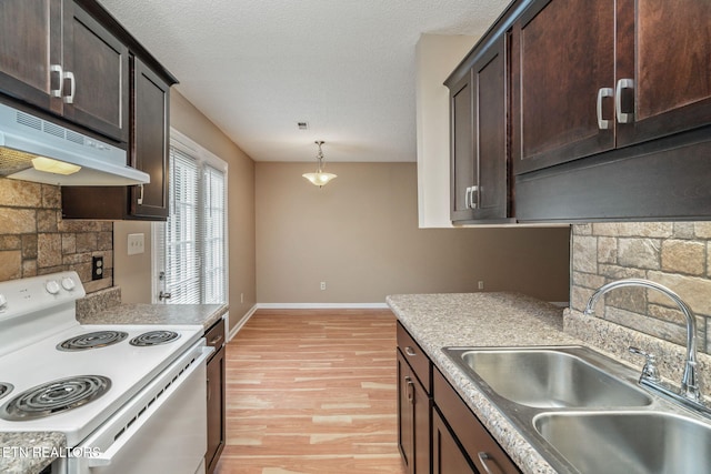 1051 Nod St, Knoxville, TN 37932 - kitchen with electric stove, a sink, dark brown cabinetry, light wood-style floors, and under cabinet range hood