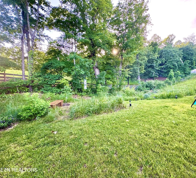 1013 Curly Top Ln, Knoxville, TN 37932 - view of yard