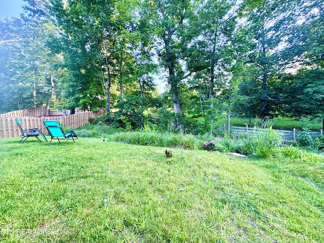 1013 Curly Top Ln, Knoxville, TN 37932 - view of yard