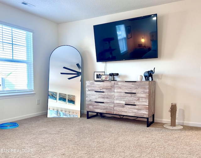 1013 Curly Top Ln, Knoxville, TN 37932 - bedroom with carpet flooring, multiple windows, baseboards, and a textured ceiling
