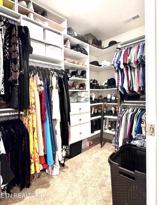 1013 Curly Top Ln, Knoxville, TN 37932 - view of walk in closet