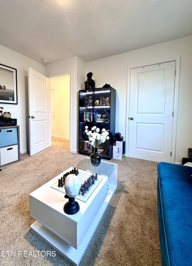 1013 Curly Top Ln, Knoxville, TN 37932 - bedroom with carpet flooring and a textured ceiling
