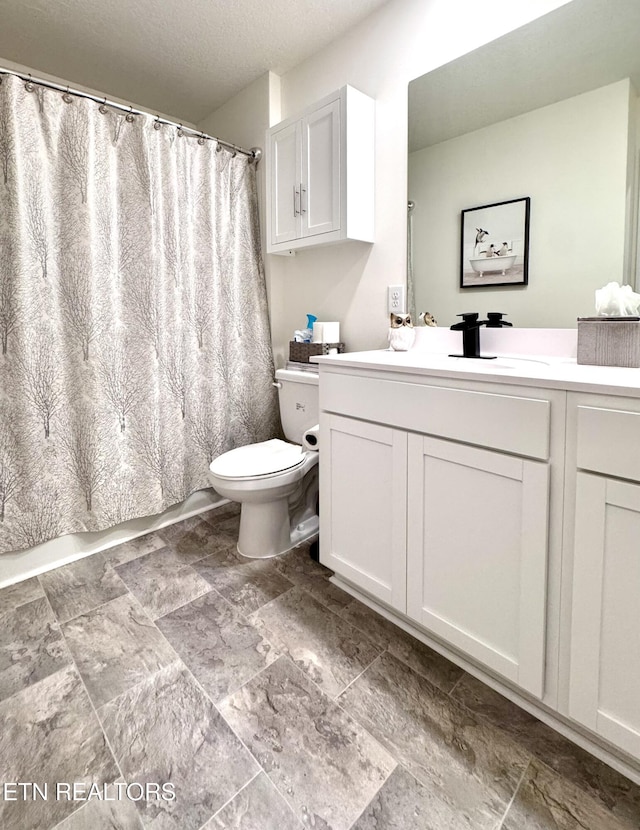 1013 Curly Top Ln, Knoxville, TN 37932 - full bath with toilet, vanity, a textured ceiling, and stone finish flooring