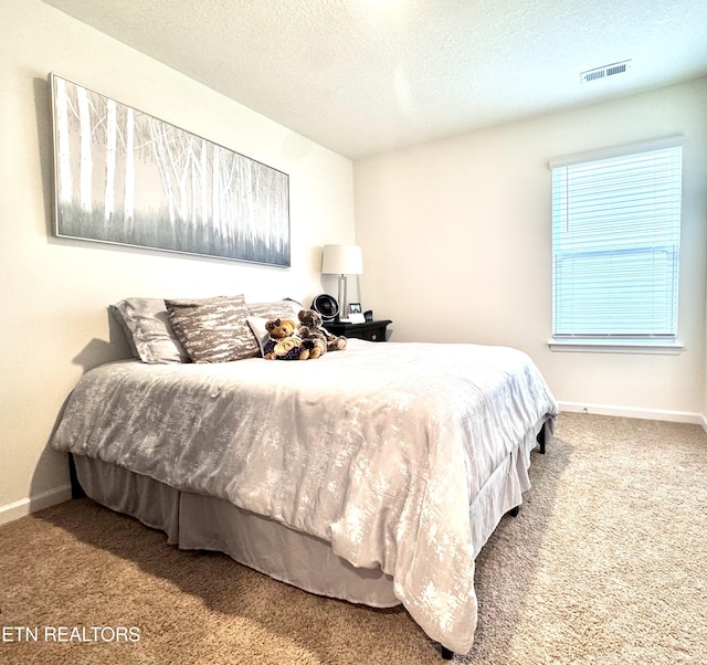1013 Curly Top Ln, Knoxville, TN 37932 - carpeted bedroom with a textured ceiling and baseboards