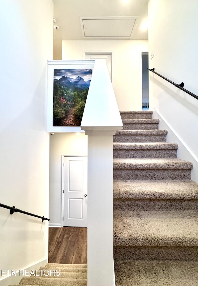 1013 Curly Top Ln, Knoxville, TN 37932 - stairs featuring wood finished floors and baseboards