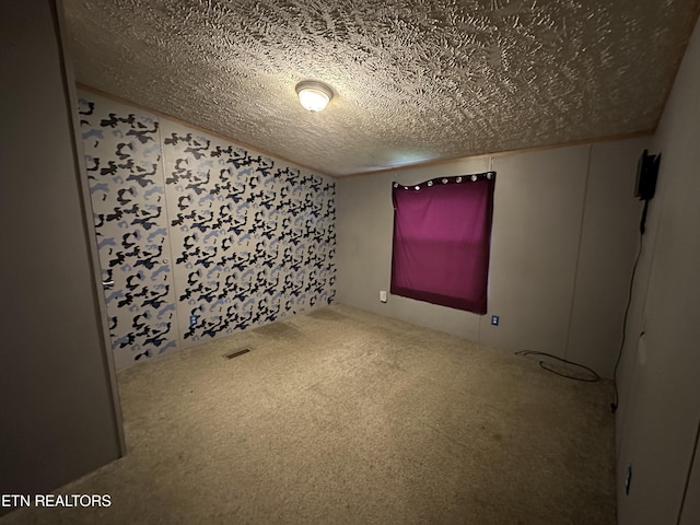 214 Hickory Grove Rd, Madisonville, TN 37354 - spare room with a textured ceiling and carpet