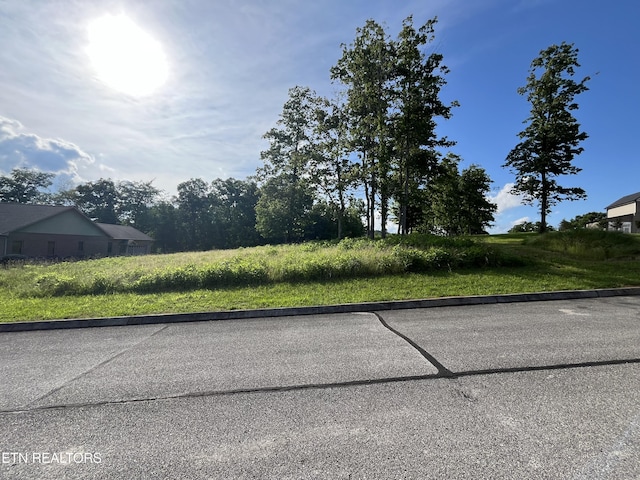 LOT23 Serenity Dr, Harriman, TN 37748
