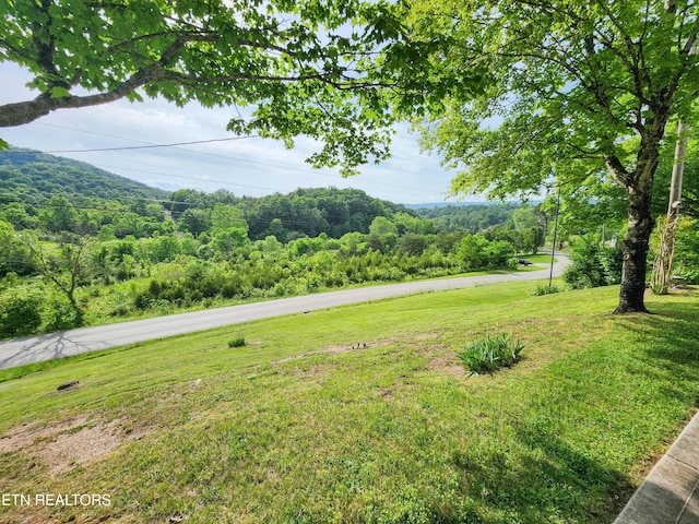 1711 Rocky Branch Rd, Rutledge, TN 37861 - mountain view with a forest