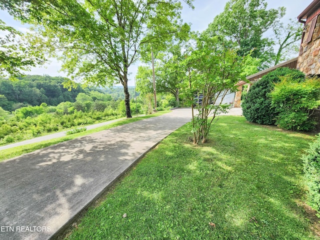1711 Rocky Branch Rd, Rutledge, TN 37861 - view of street