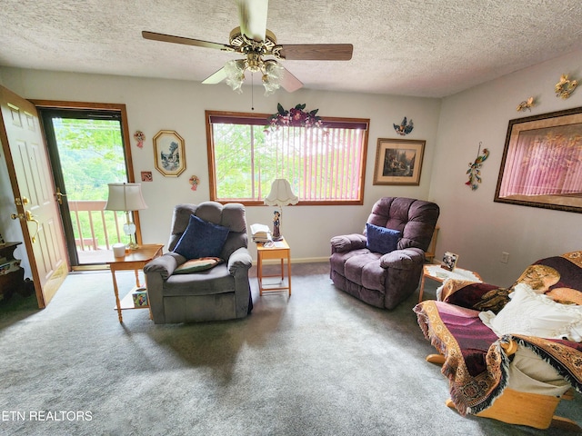 1711 Rocky Branch Rd, Rutledge, TN 37861 - living area with healthy amount of natural light, a textured ceiling, carpet, and a ceiling fan