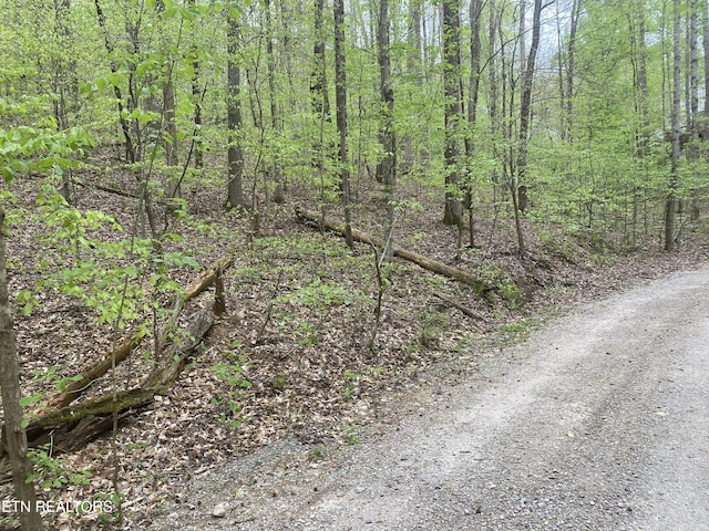 5 Lakewood Rd Lot4, Maynardville, TN 37807