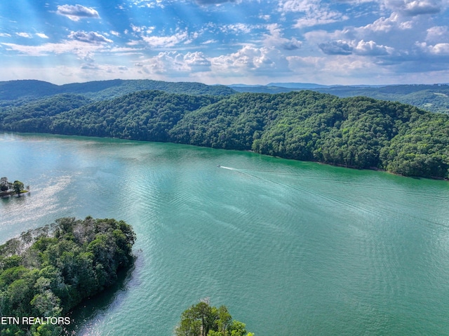 5 Lakewood Rd Lot4, Maynardville, TN 37807