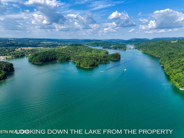 5 Lakewood Rd Lot4, Maynardville, TN 37807