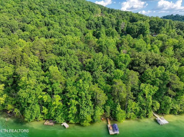 5 Lakewood Rd Lot4, Maynardville, TN 37807